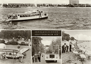 Senftenberg